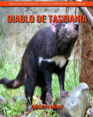 Book cover for Diablo de Tasmania