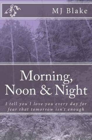 Cover of Morning, Noon & Night