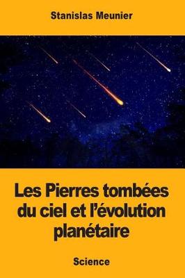 Cover of Les Pierres tombées du ciel et l'évolution planétaire