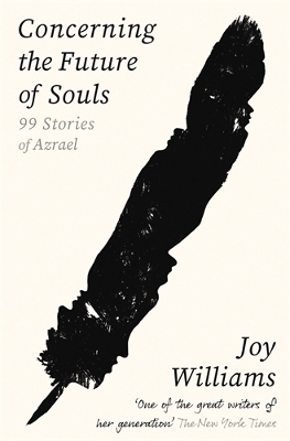 Book cover for Concerning the Future of Souls