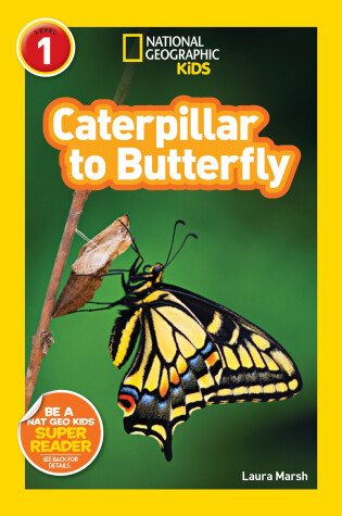 Cover of National Geographic Readers: Caterpillar to Butterfly