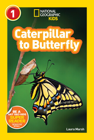 Book cover for National Geographic Readers: Caterpillar to Butterfly