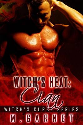 Book cover for Witch's Heat