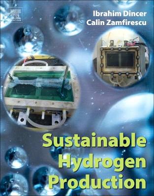 Book cover for Sustainable Hydrogen Production