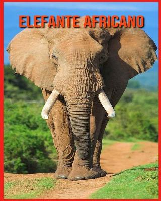 Book cover for Elefante Africano