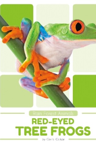 Cover of Rain Forest Animals: Red-Eyed Tree Frogs