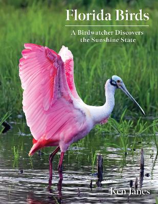 Cover of Florida Birds