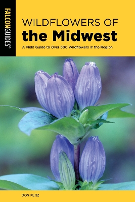 Book cover for Wildflowers of the Midwest