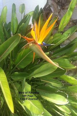 Book cover for Bird of Paradise 100 Page Lined Journal