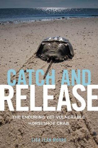 Cover of Catch and Release