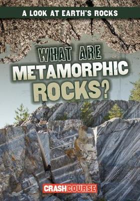 Book cover for What Are Metamorphic Rocks?