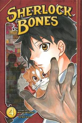 Book cover for Sherlock Bones 4