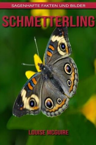 Cover of Schmetterling