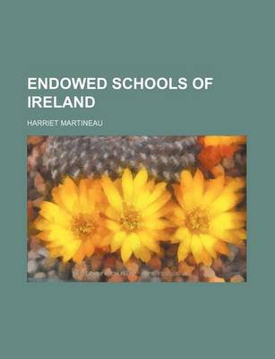 Book cover for Endowed Schools of Ireland