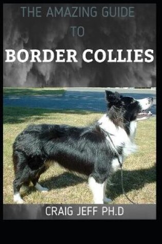 Cover of The Amazing Guide to Border Collies