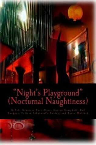 Cover of Night's Playground