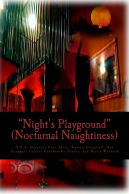 Cover of Night's Playground