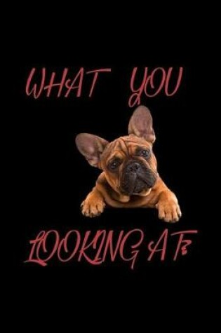 Cover of What you looking at