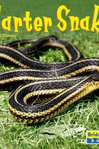 Cover of Garter Snakes