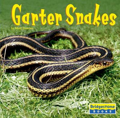 Book cover for Garter Snakes