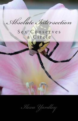 Book cover for Absolute Intersection