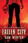 Book cover for Fallen City