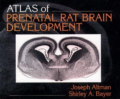 Book cover for Atlas of Prenatal Rat Brain Development