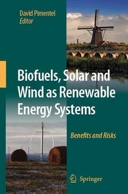 Book cover for Biofuels, Solar and Wind as Renewable Energy Systems