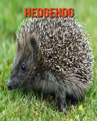 Book cover for Hedgehog