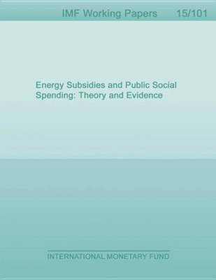 Book cover for Energy Subsidies and Public Social Spending