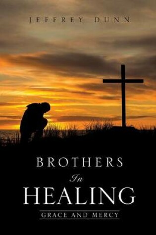 Cover of Brothers in Healing