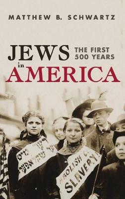 Book cover for Jews in America