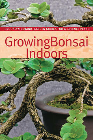 Growing Bonsai Indoors