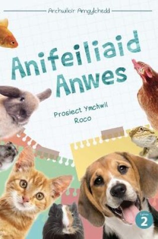 Cover of Cyfres Archwilio'r Amgylchedd: Anifeiliaid Anwes