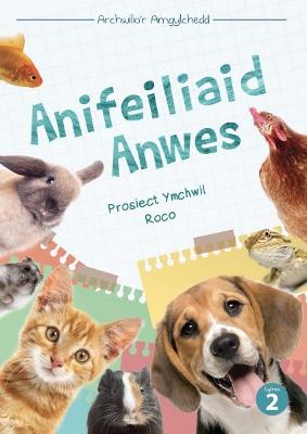 Cover of Cyfres Archwilio'r Amgylchedd: Anifeiliaid Anwes