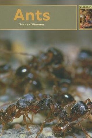 Cover of Ants