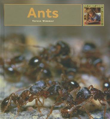 Cover of Ants