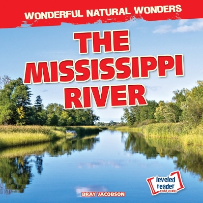 Book cover for The Mississippi River