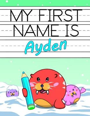 Book cover for My First Name is Ayden