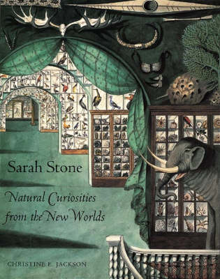 Book cover for Sarah Stone