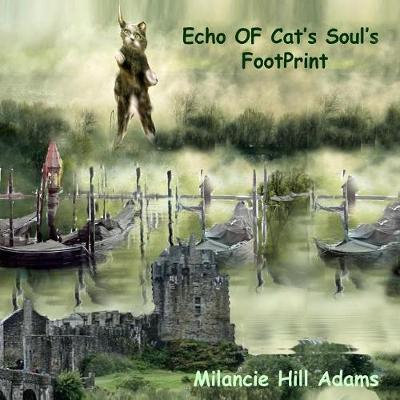Book cover for Echo of Cat's Soul's Footprint