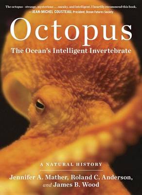 Book cover for Octopus