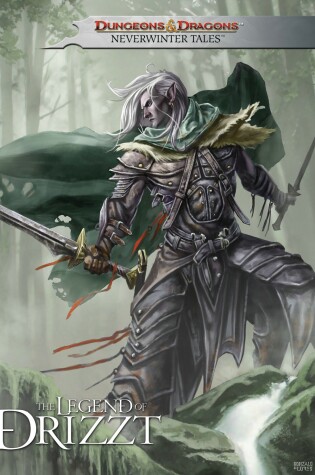 Cover of Dungeons & Dragons: The Legend of Drizzt - Neverwinter Tales