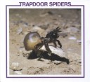 Book cover for Trapdoor Spiders
