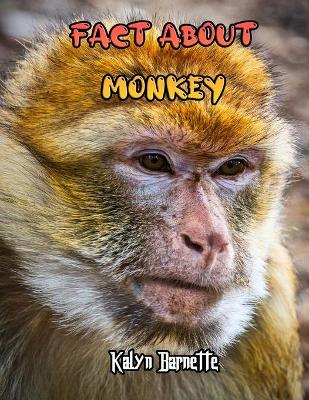 Book cover for Fact about Monkey