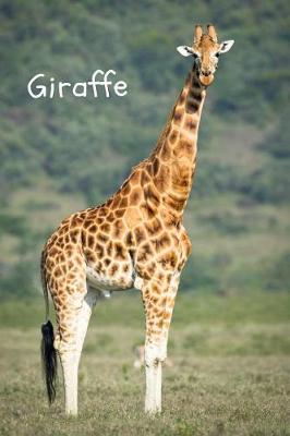 Book cover for Giraffe