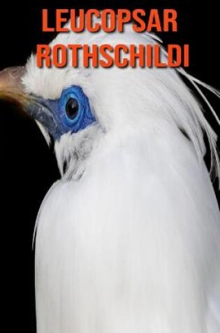 Cover of Leucopsar rothschildi