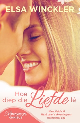 Book cover for Hoe diep die liefde lê