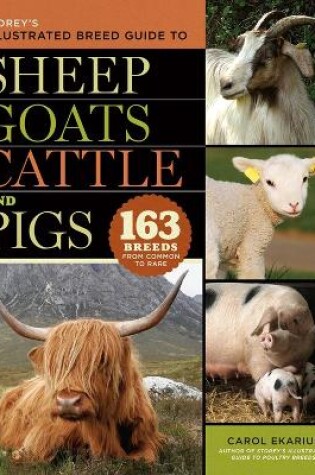 Cover of Storey's Illustrated Breed Guide to Sheep, Goats, Cattle and Pigs