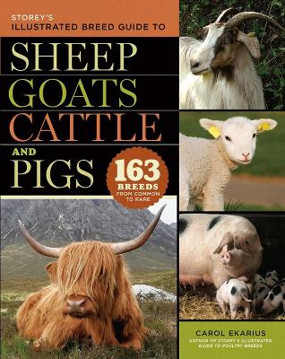 Book cover for Storey's Illustrated Breed Guide to Sheep, Goats, Cattle and Pigs